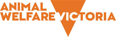 animal-welfare-victoria