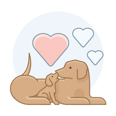 why-stonehaven-park-puppies-nursery